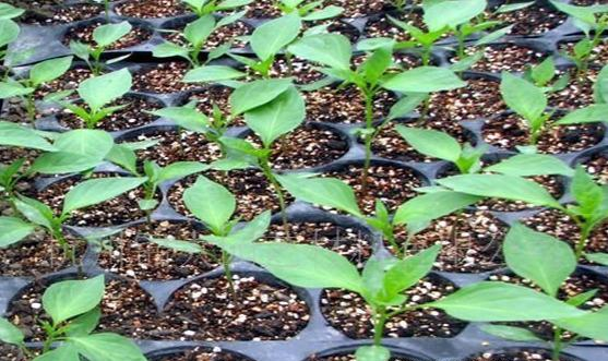 �ְ��ֽ������o��������|����